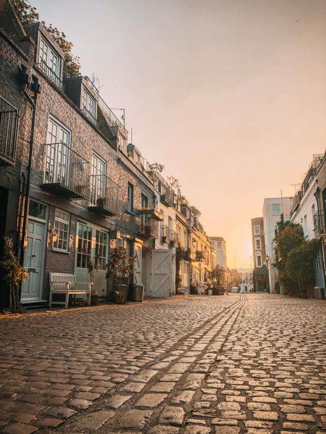 House hunting in New Orleans